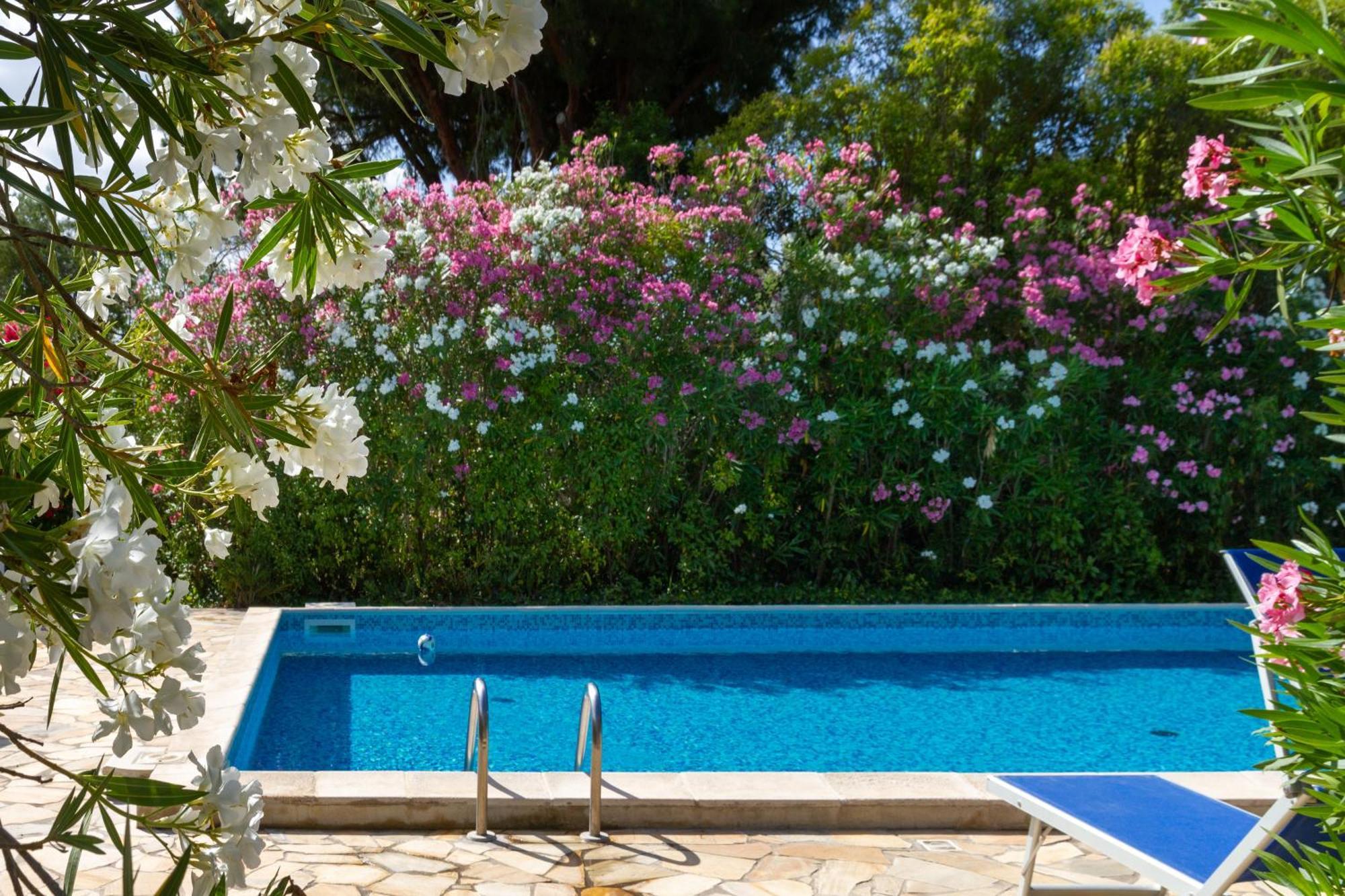Vila Trilo Dalia Marina di Grosseto Exteriér fotografie