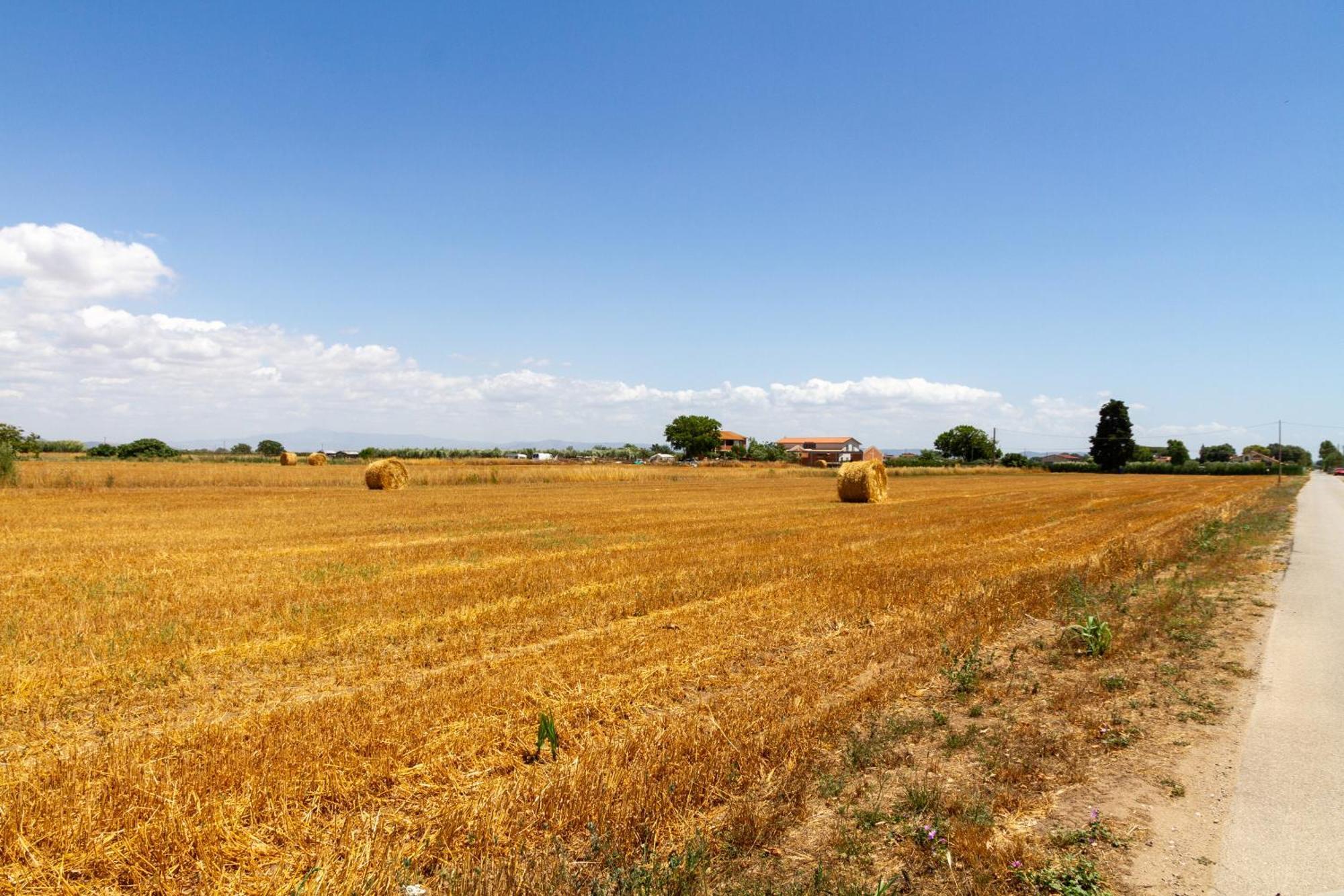 Vila Trilo Dalia Marina di Grosseto Exteriér fotografie