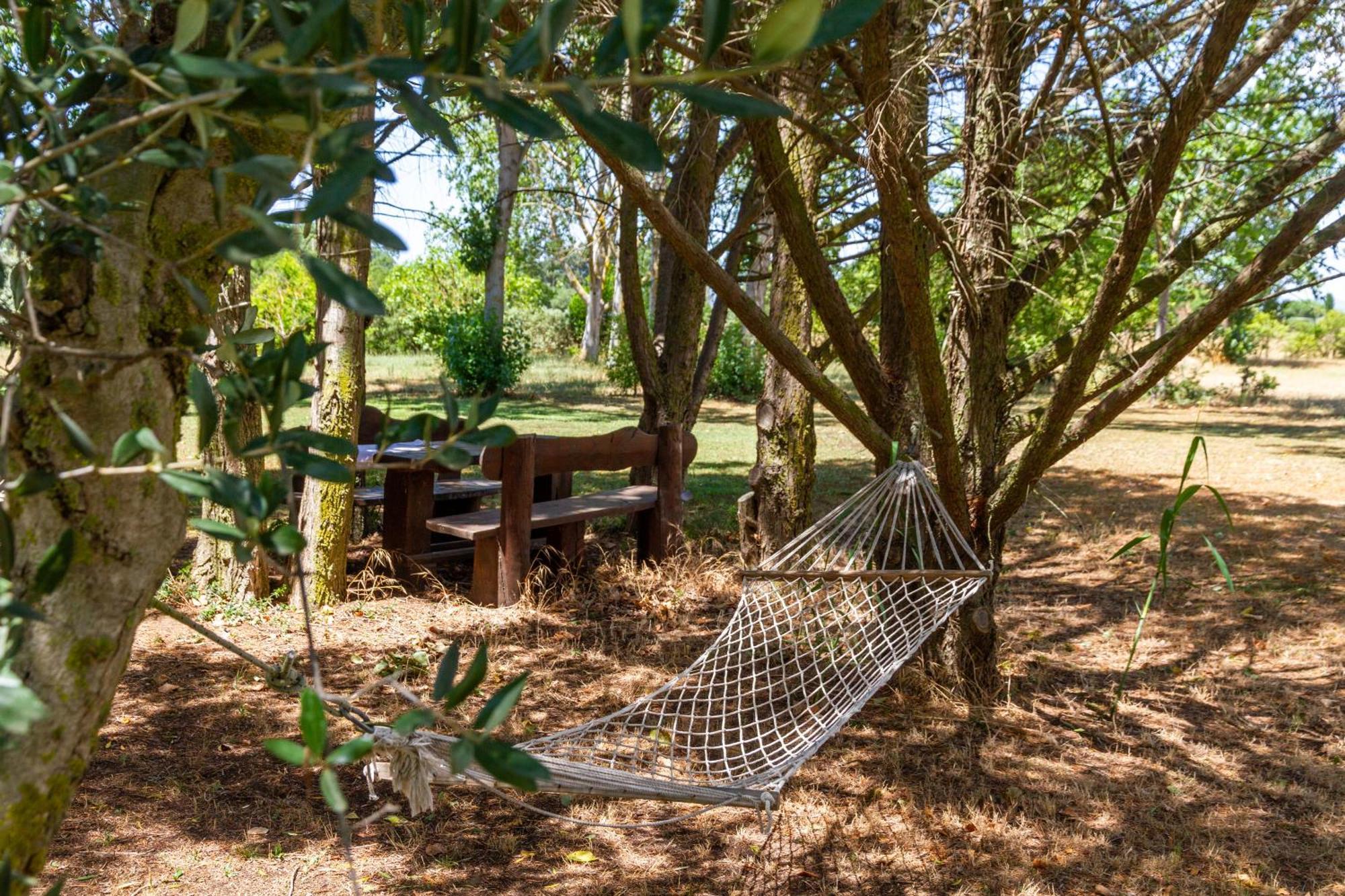 Vila Trilo Dalia Marina di Grosseto Exteriér fotografie